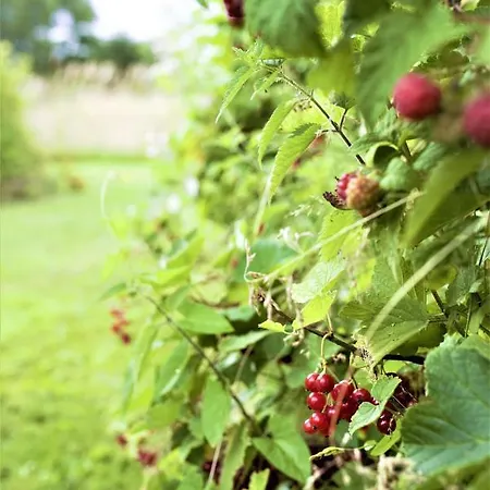 With Open Views And A Beautiful Garden Homestay *