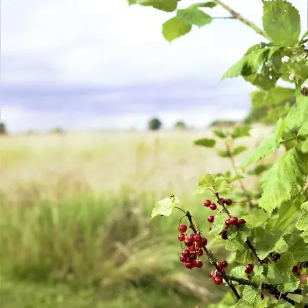 Homestay With Open Views And A Beautiful Garden *