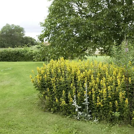 With Open Views And A Beautiful Garden Homestay